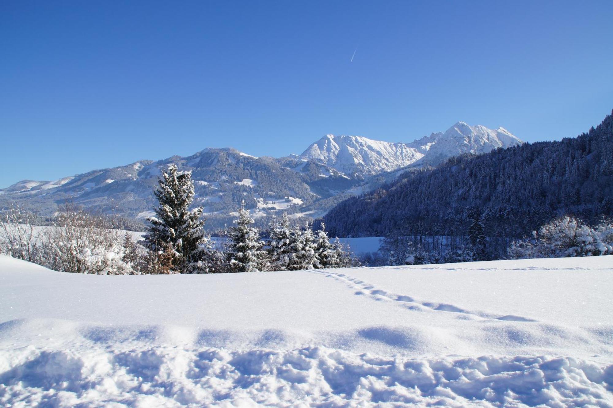 Wohlfuehlhotel Berwanger Hof Obermaiselstein Ngoại thất bức ảnh